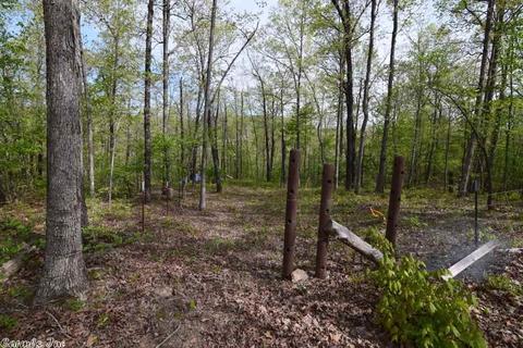 2687 Trace Ridge Rd, Leslie, AR 72645 photo 36