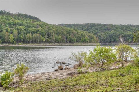 610 Weldon Rd, Edgemont, AR 72044 photo 36