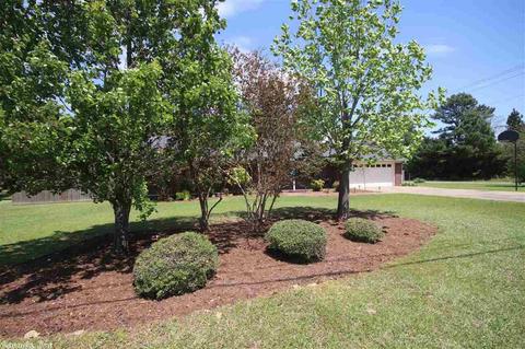 3500 Deerbrook, Conway, AR 72034 photo 32