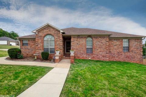 13801 Harold Dr, Alexander, AR 72002 photo 1