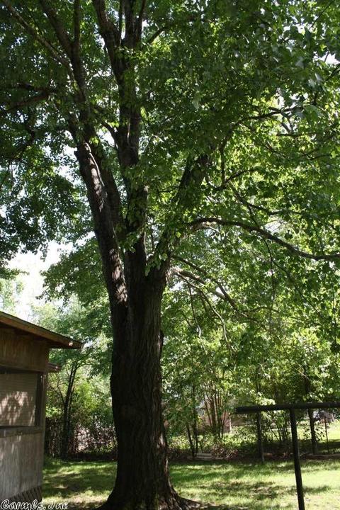 104 Carter Dr, Searcy, AR 72143 photo 17