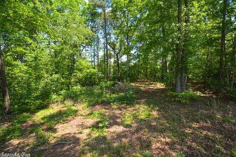 10320 Lowe Ln, Mabelvale, AR 72103 photo 37