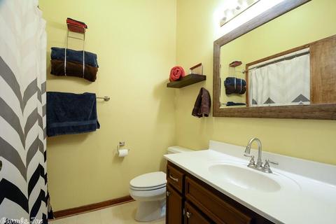 10320 Lowe Ln, Mabelvale, AR 72103 photo 28