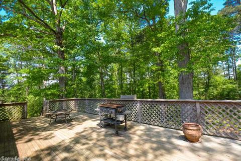10320 Lowe Ln, Mabelvale, AR 72103 photo 34