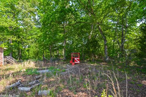 10320 Lowe Ln, Mabelvale, AR 72103 photo 39