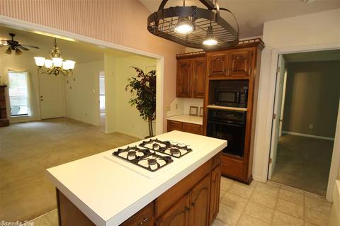 10 Irish Rose Cir, Alexander, AR 72002 photo 17