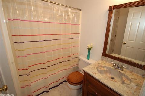 10 Irish Rose Cir, Alexander, AR 72002 photo 38