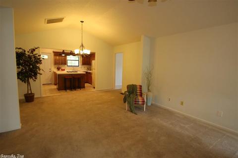 10 Irish Rose Cir, Alexander, AR 72002 photo 19