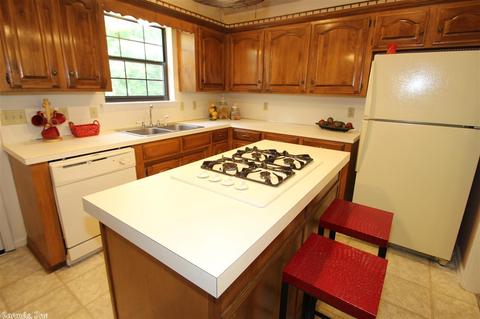 10 Irish Rose Cir, Alexander, AR 72002 photo 13