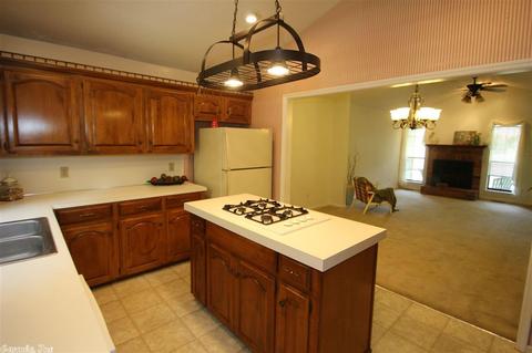 10 Irish Rose Cir, Alexander, AR 72002 photo 18