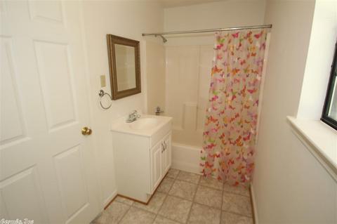 10 Irish Rose Cir, Alexander, AR 72002 photo 35