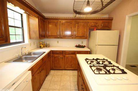 10 Irish Rose Cir, Alexander, AR 72002 photo 14
