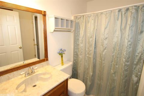 10 Irish Rose Cir, Alexander, AR 72002 photo 26