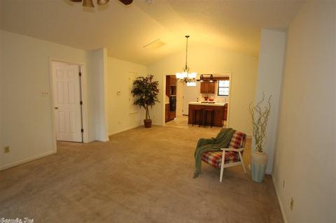 10 Irish Rose Cir, Alexander, AR 72002 photo 20