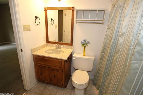 10 Irish Rose Cir, Alexander, AR 72002 photo 28