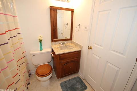 10 Irish Rose Cir, Alexander, AR 72002 photo 40
