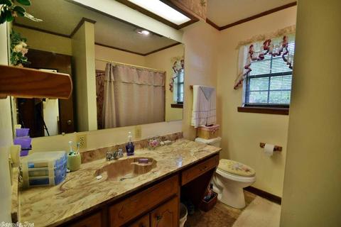 74 Penny Rd, Higden, AR 72067 photo 16
