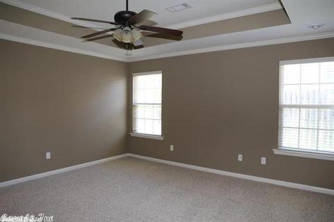 3108 Hamilton Cv, Benton, AR 72015 photo 11