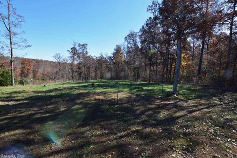 181 Petters Rd, Mountain View, AR 72560 photo 15