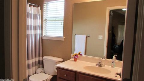 4 Amethyst St, Greenbrier, AR 72058 photo 20