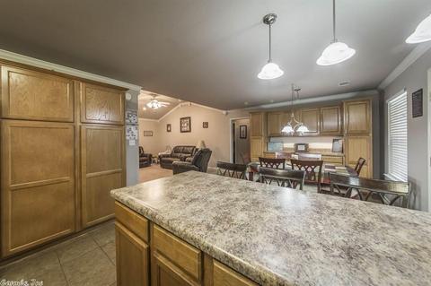45 Red Bud Ln, Ward, AR 72176 photo 9