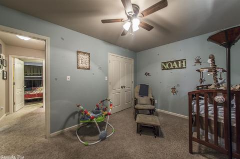 45 Red Bud Ln, Ward, AR 72176 photo 20