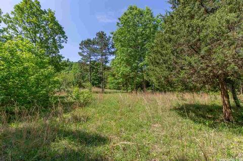 423 Polk Road 14, Wickes, AR 71973 photo 1