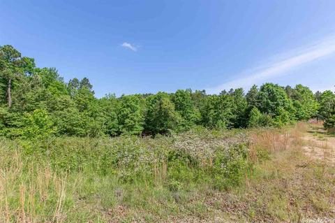 423 Polk Road 14, Wickes, AR 71973 photo 2