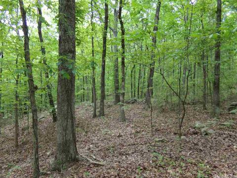 149 Wild Rd, Edgemont, AR 72044 photo 17