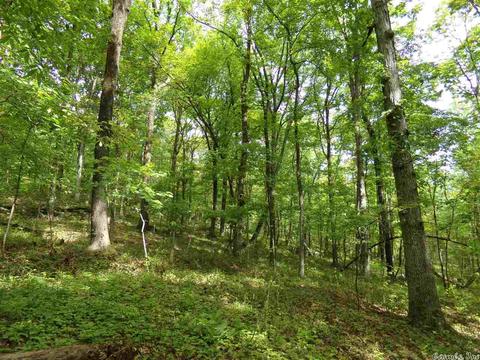 149 Wild Rd, Edgemont, AR 72044 photo 19