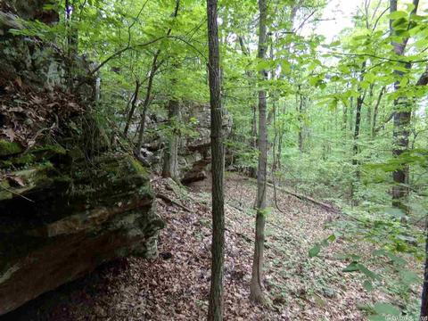 149 Wild Rd, Edgemont, AR 72044 photo 15