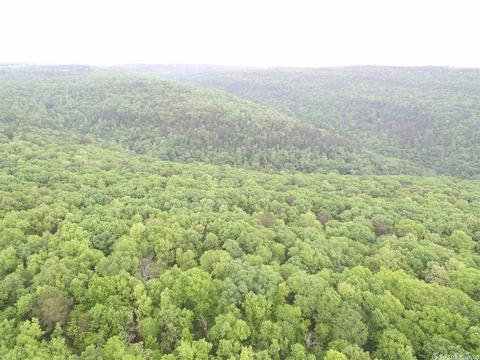 149 Wild Rd, Edgemont, AR 72044 photo 34