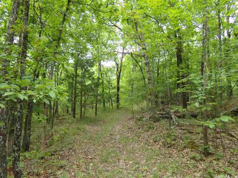 149 Wild Rd, Edgemont, AR 72044 photo 14