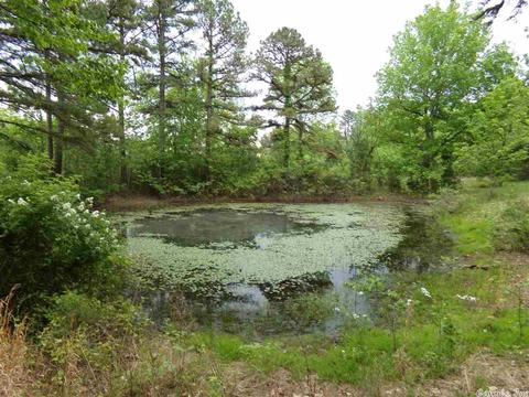 149 Wild Rd, Edgemont, AR 72044 photo 13