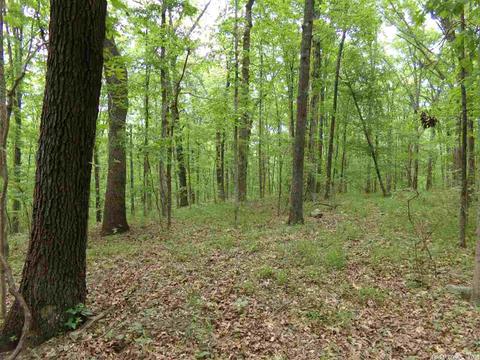 149 Wild Rd, Edgemont, AR 72044 photo 16
