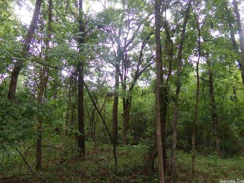 200 Liles Rd, Beebe, AR 72012 photo 13