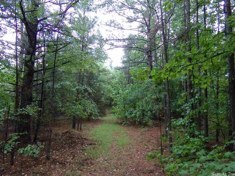 200 Liles Rd, Beebe, AR 72012 photo 4