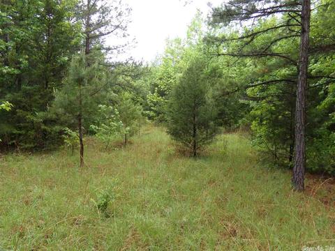 200 Liles Rd, Beebe, AR 72012 photo 7