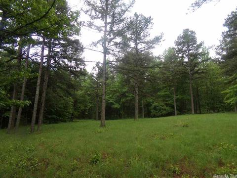 200 Liles Rd, Beebe, AR 72012 photo 10
