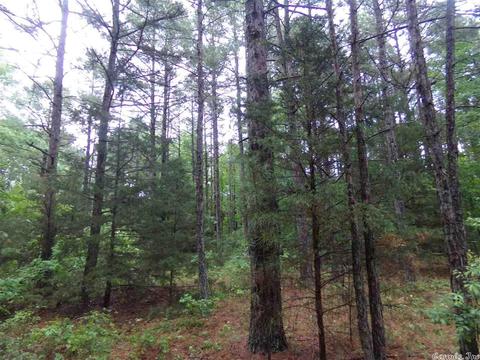 200 Liles Rd, Beebe, AR 72012 photo 14