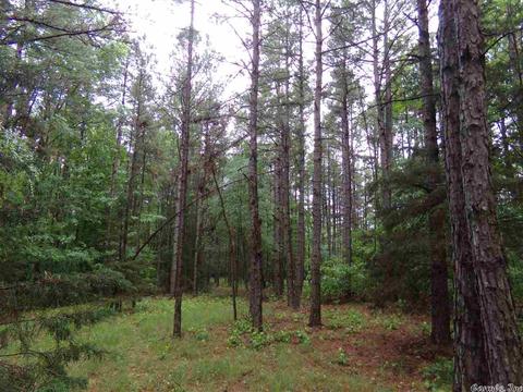 200 Liles Rd, Beebe, AR 72012 photo 6