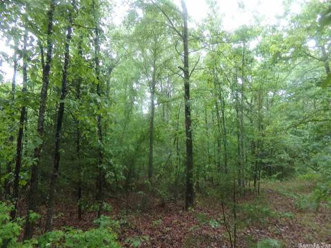 200 Liles Rd, Beebe, AR 72012 photo 8
