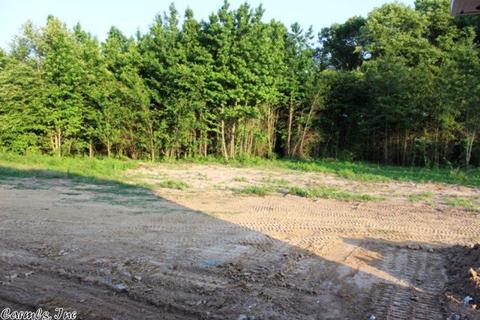 125 Sandy Crk, Ward, AR 72176 photo 22
