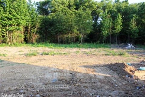 125 Sandy Crk, Ward, AR 72176 photo 23