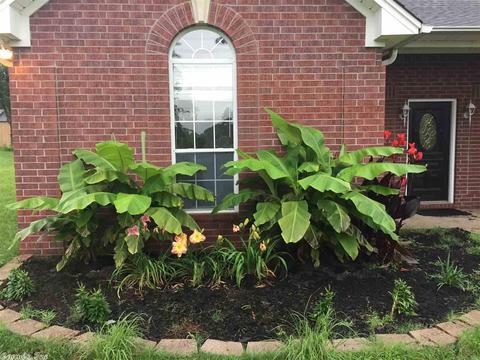 2236 Hilltop Rd, Alexander, AR 72002 photo 2