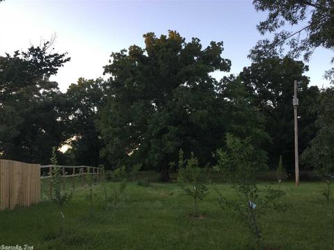 2236 Hilltop Rd, Alexander, AR 72002 photo 25