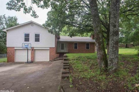 5 Langford Dr, Conway, AR 72032 photo 24
