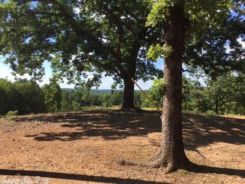 201 Brannon, Greenbrier, AR 72058 photo 16