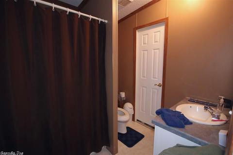 30 Ryan, Greenbrier, AR 72058 photo 20