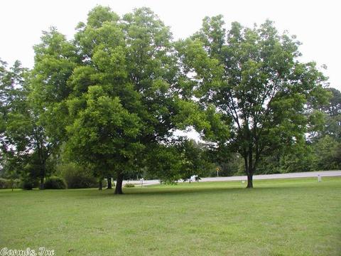 2540 Hwy 31 N, Beebe, AR 72012 photo 4